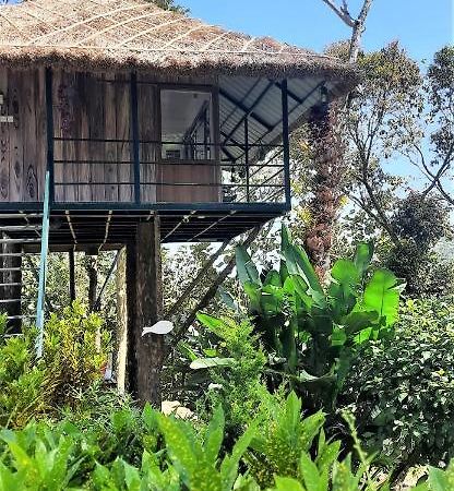 Noah'S Nest Tree House Lejlighed Thekkady Eksteriør billede
