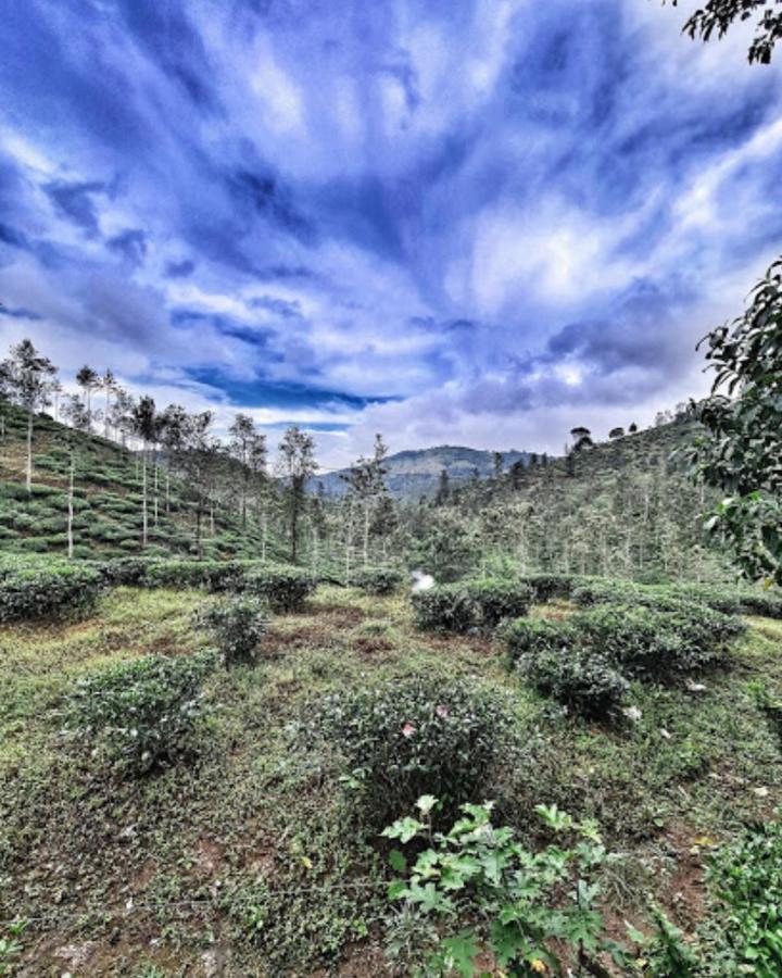 Noah'S Nest Tree House Lejlighed Thekkady Eksteriør billede