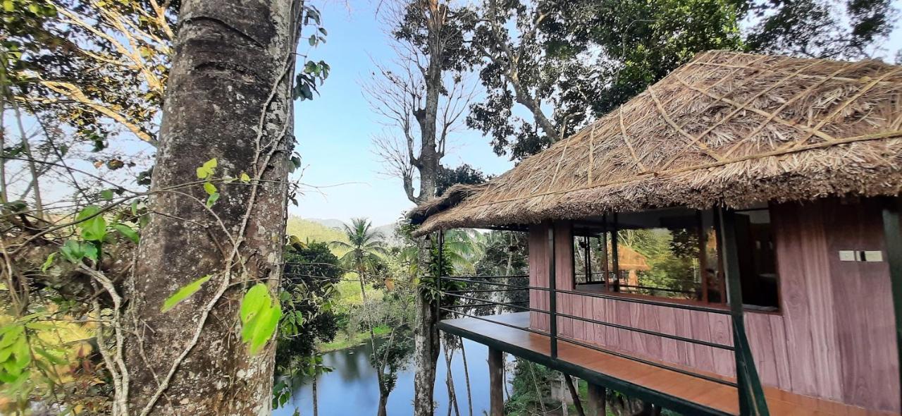 Noah'S Nest Tree House Lejlighed Thekkady Eksteriør billede