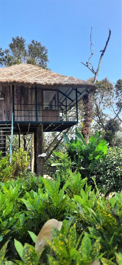 Noah'S Nest Tree House Lejlighed Thekkady Eksteriør billede