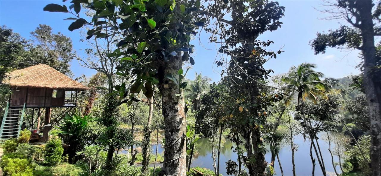 Noah'S Nest Tree House Lejlighed Thekkady Eksteriør billede