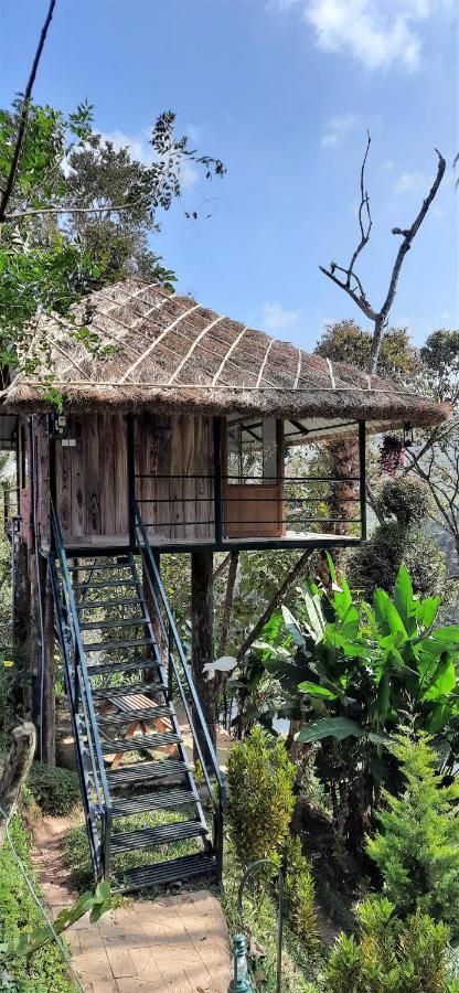 Noah'S Nest Tree House Lejlighed Thekkady Eksteriør billede