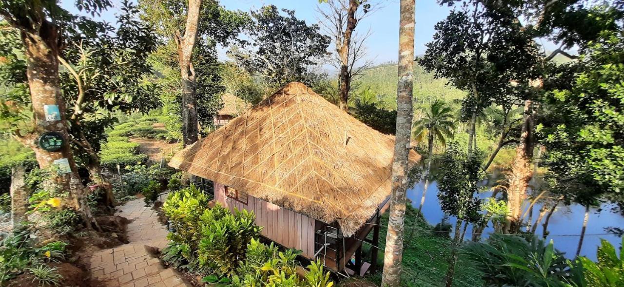 Noah'S Nest Tree House Lejlighed Thekkady Eksteriør billede