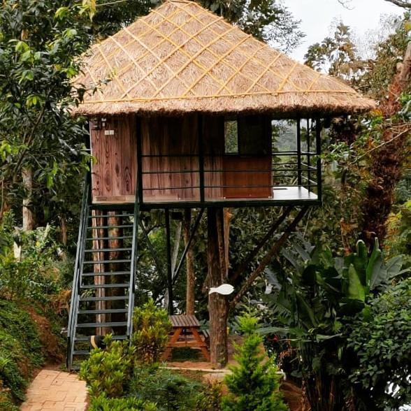 Noah'S Nest Tree House Lejlighed Thekkady Eksteriør billede