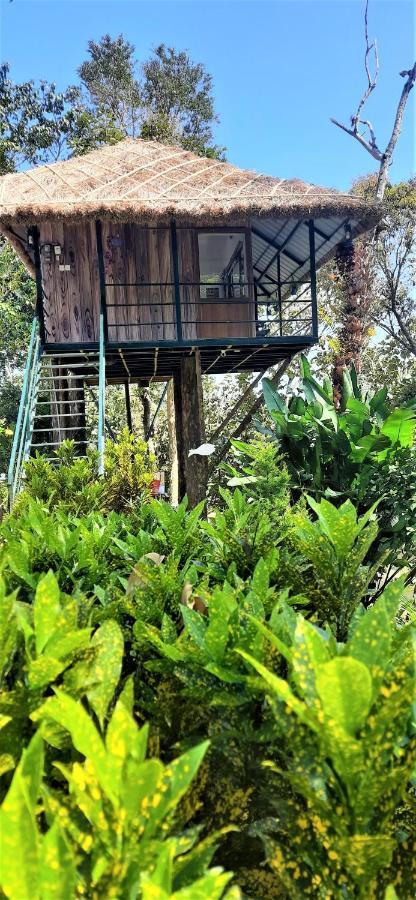 Noah'S Nest Tree House Lejlighed Thekkady Eksteriør billede