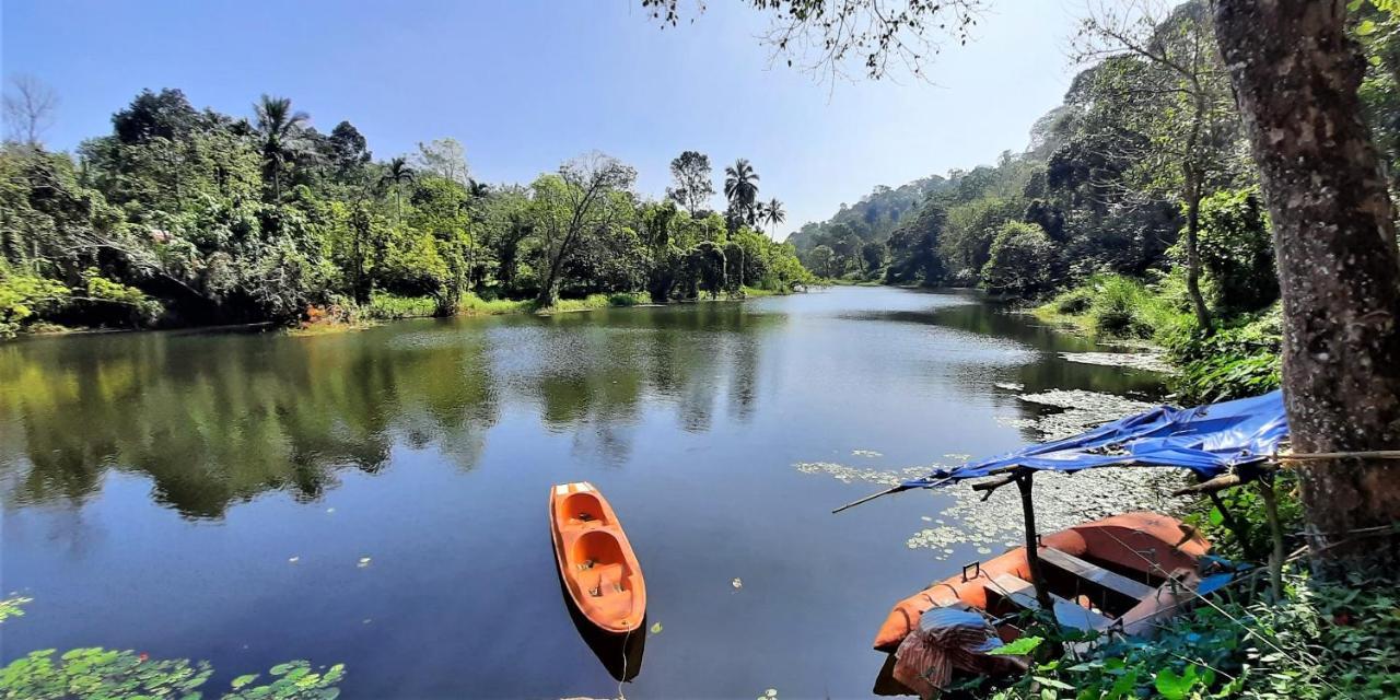 Noah'S Nest Tree House Lejlighed Thekkady Eksteriør billede