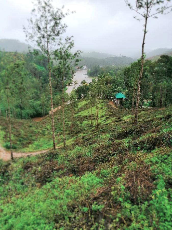 Noah'S Nest Tree House Lejlighed Thekkady Eksteriør billede