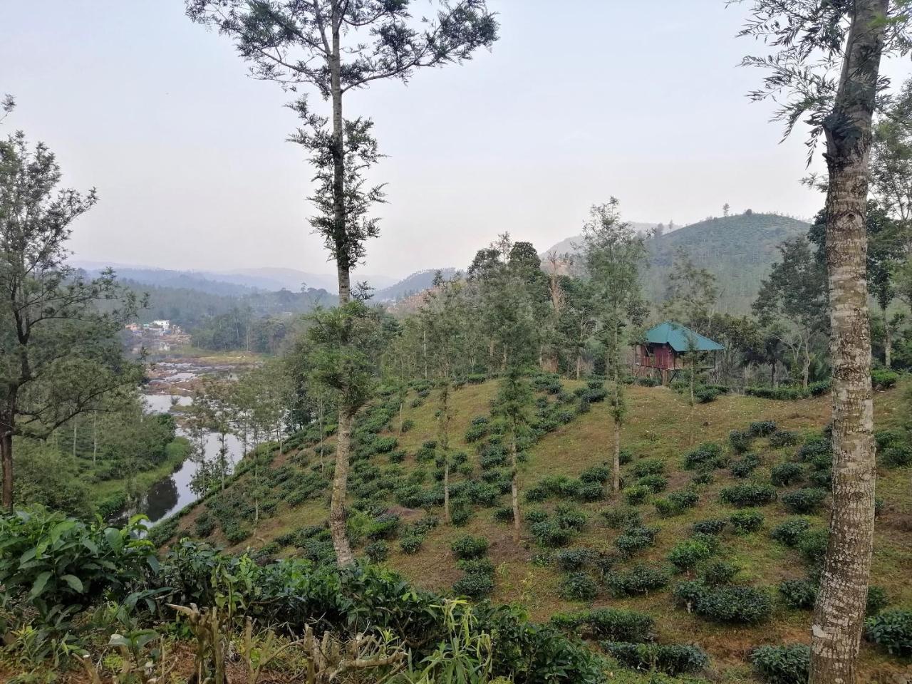 Noah'S Nest Tree House Lejlighed Thekkady Eksteriør billede