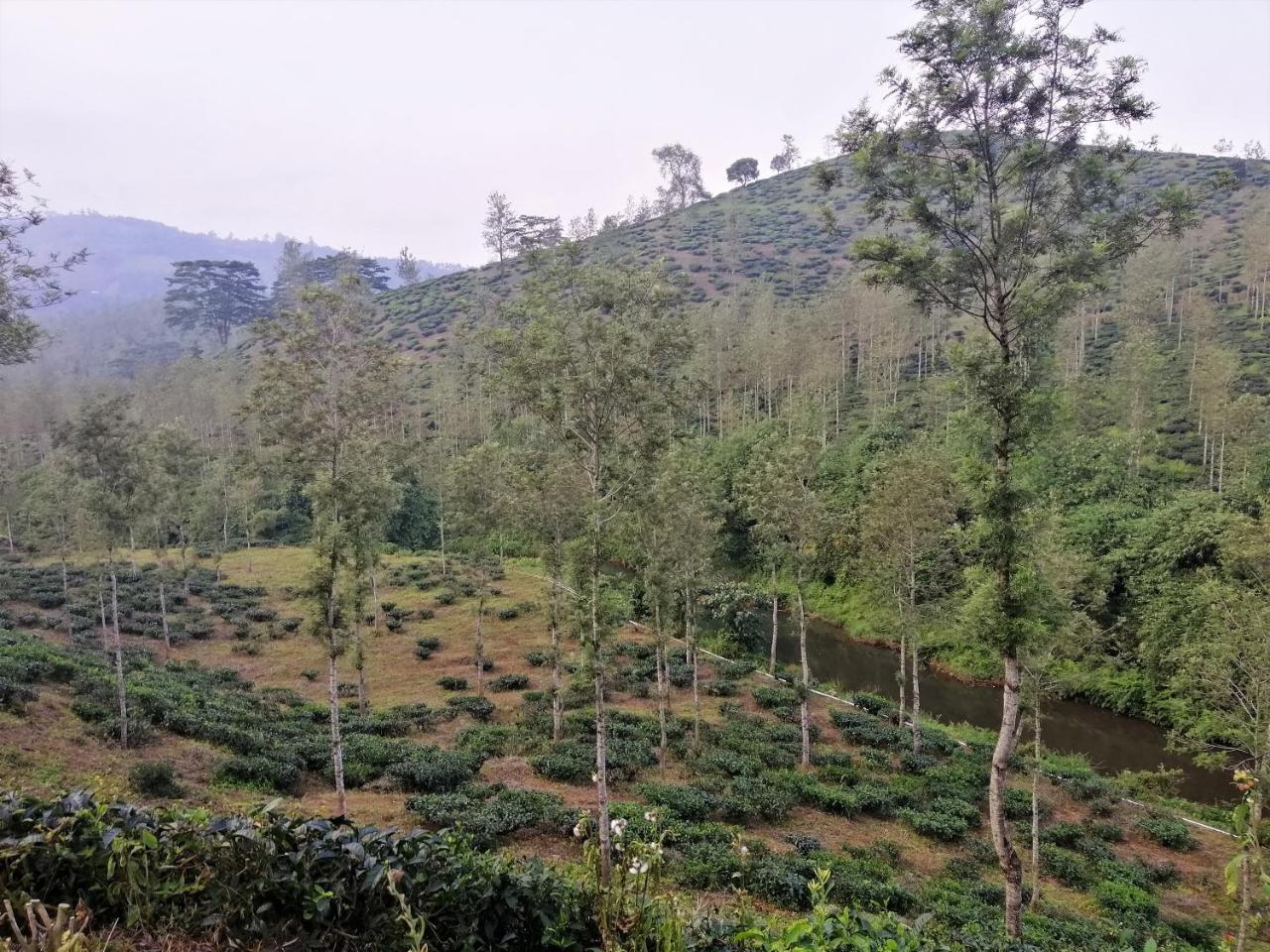 Noah'S Nest Tree House Lejlighed Thekkady Eksteriør billede