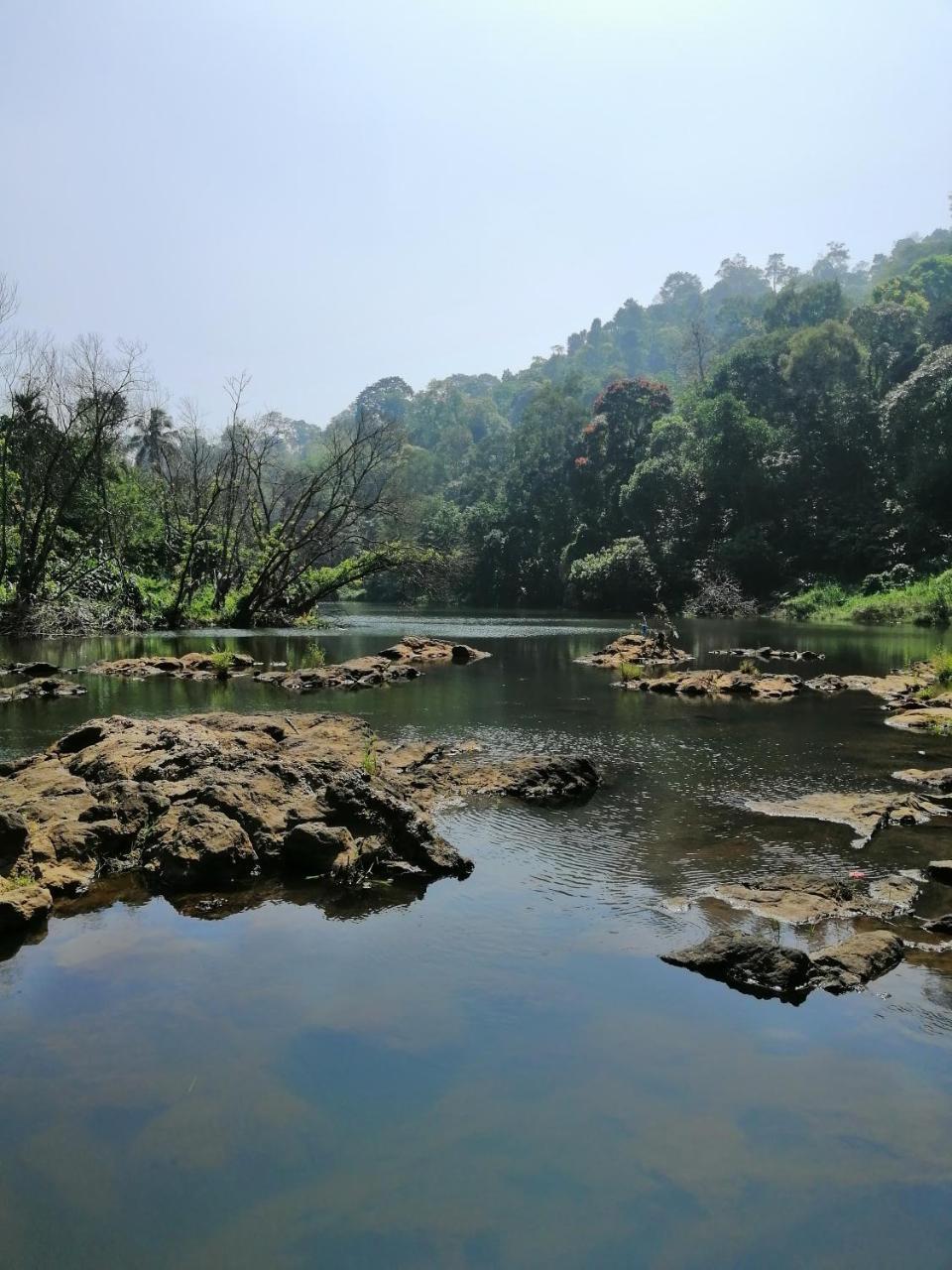 Noah'S Nest Tree House Lejlighed Thekkady Eksteriør billede
