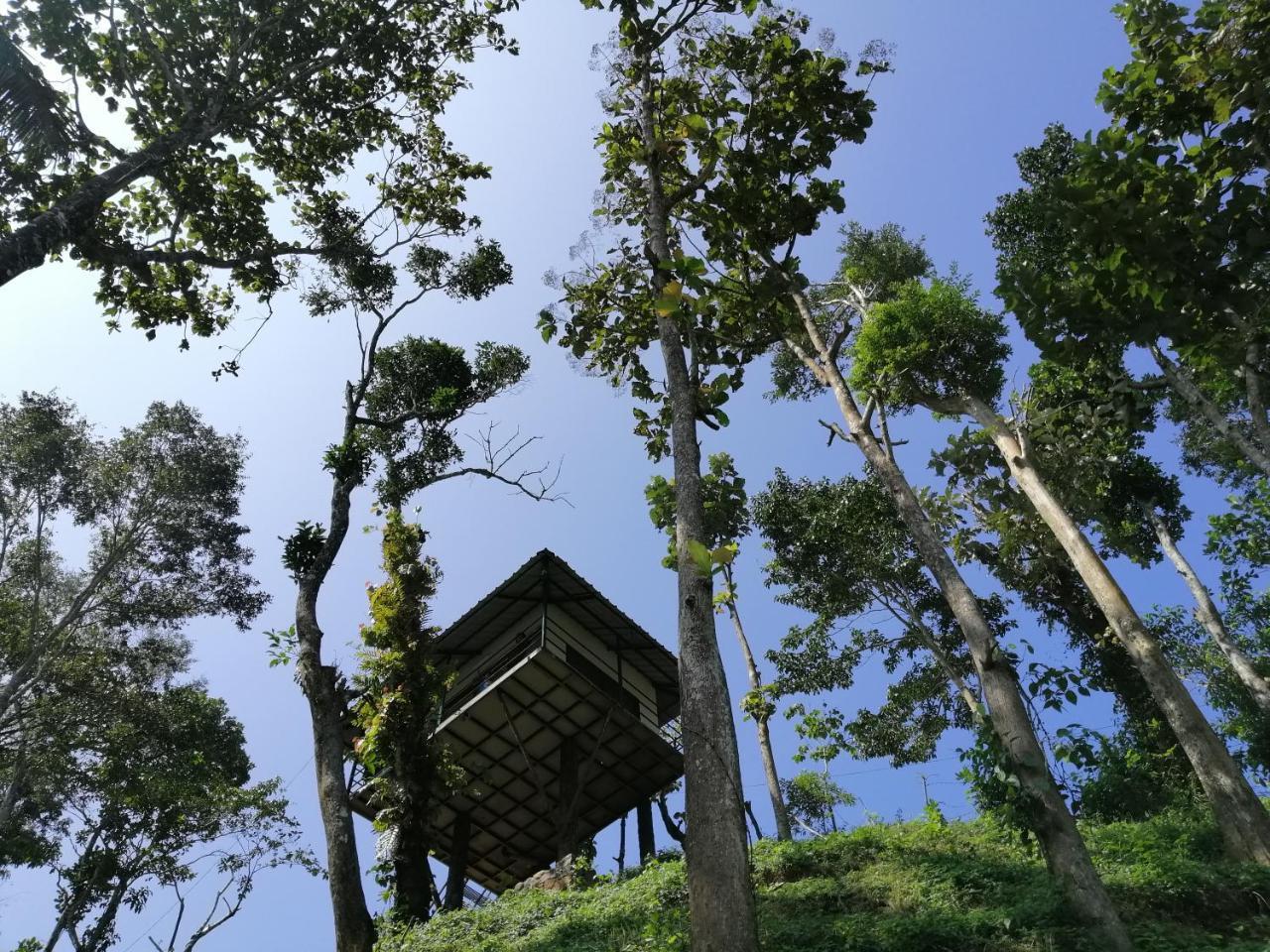 Noah'S Nest Tree House Lejlighed Thekkady Eksteriør billede