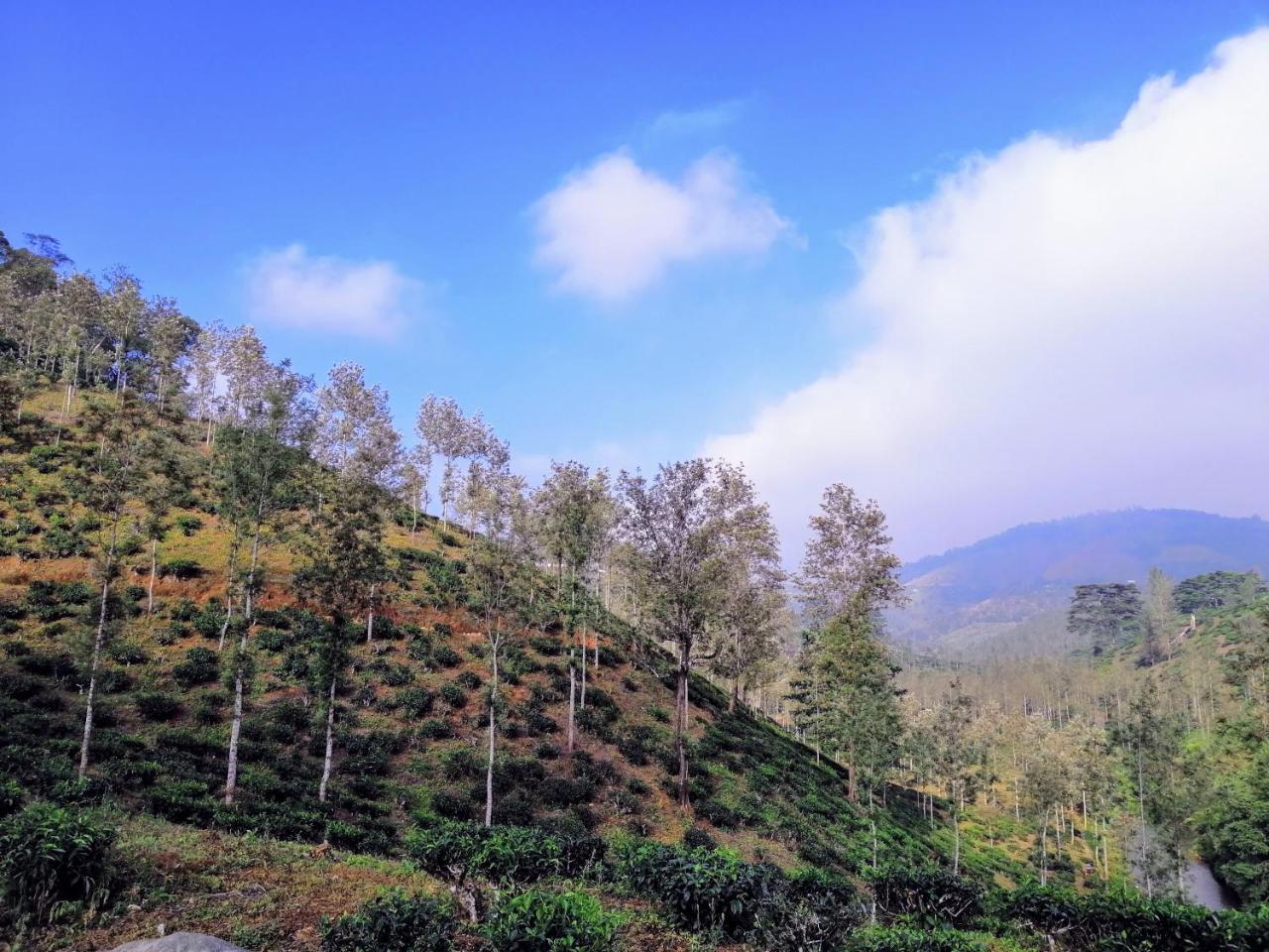Noah'S Nest Tree House Lejlighed Thekkady Eksteriør billede
