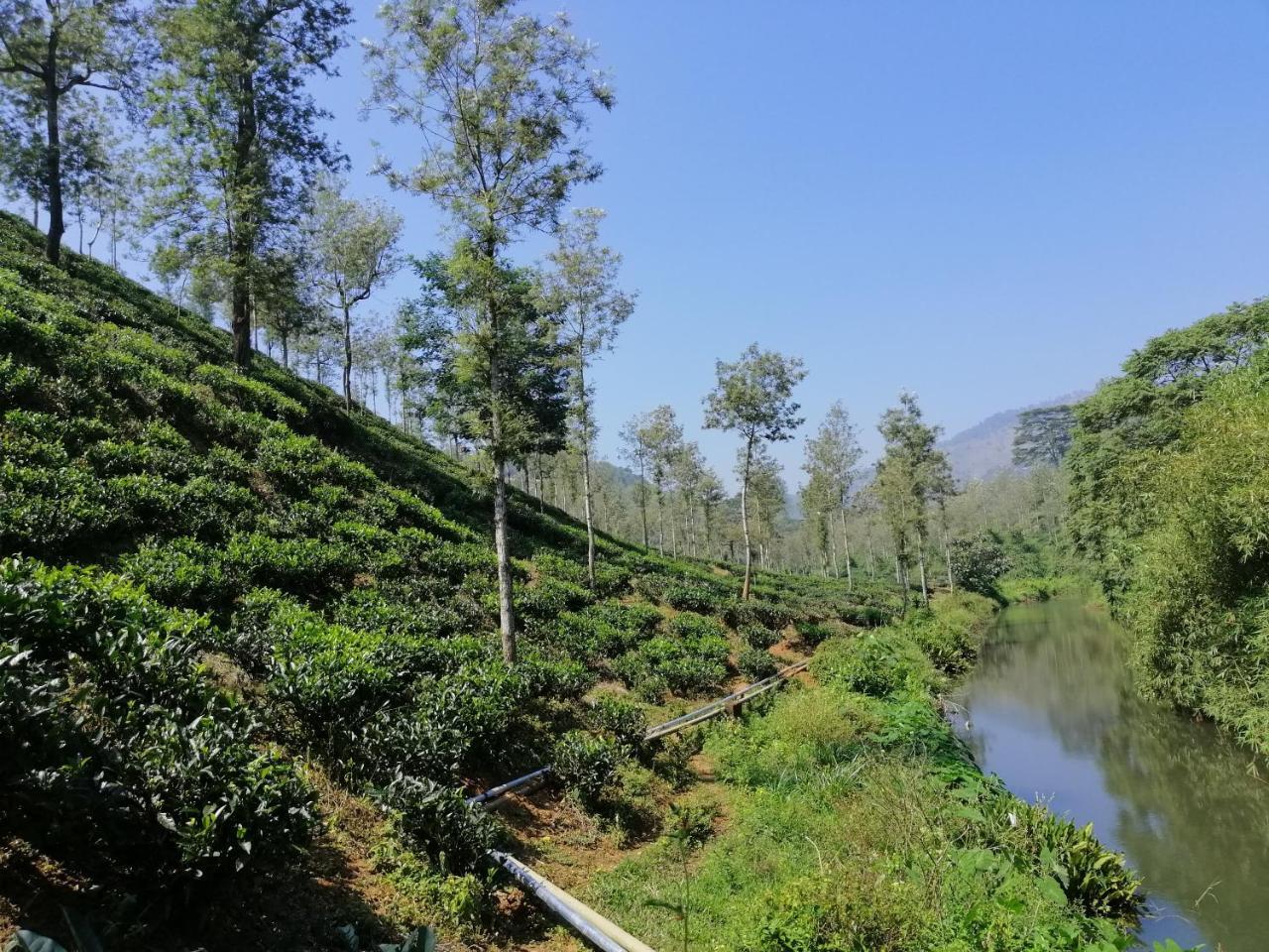 Noah'S Nest Tree House Lejlighed Thekkady Eksteriør billede