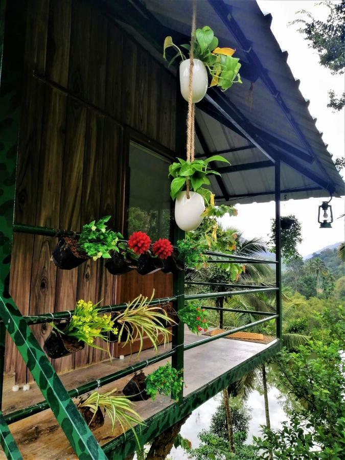 Noah'S Nest Tree House Lejlighed Thekkady Eksteriør billede